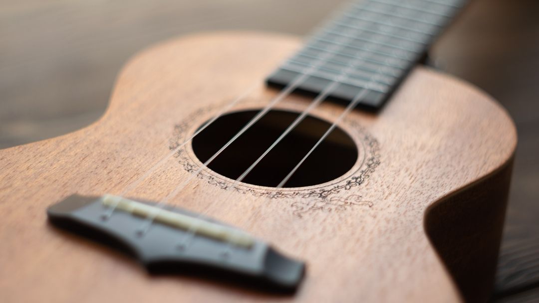 Easiest Musical Instruments for Beginners To Learn