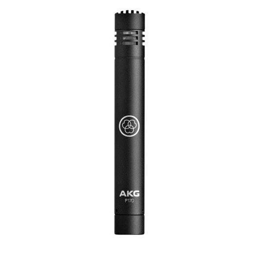 AKG P170 Small-Diaphragm Condenser Microphone