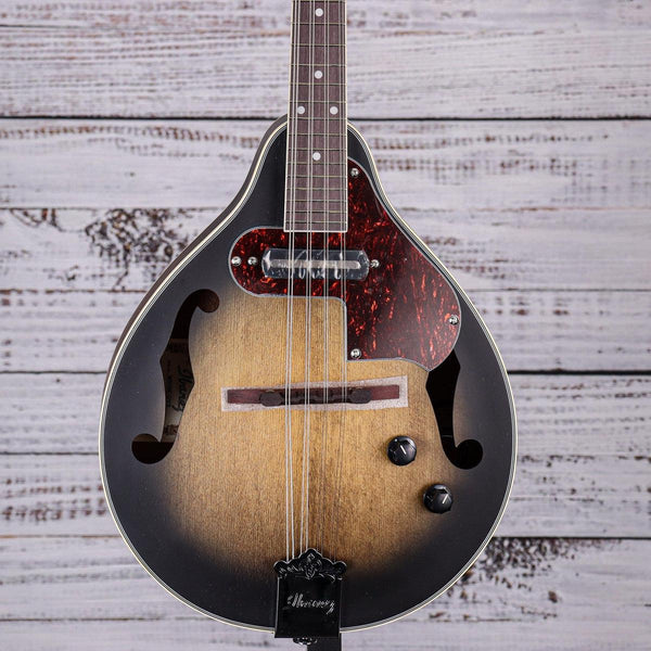 Ibanez acoustic electric mandolin discount