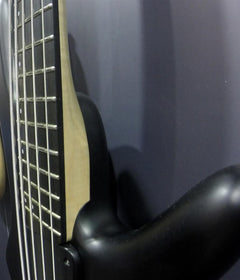 Ibanez GWB35 Gary Willis Signature Fretless Bass Guitar | Black Flat Finish