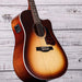 Seagull Entourage Acoustic/Electric Guitar | Autumn Burst