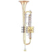 Yamaha YTR-8335II Professional Xeno Series Trumpet YTR-8335IIG - Gold Brass Bell