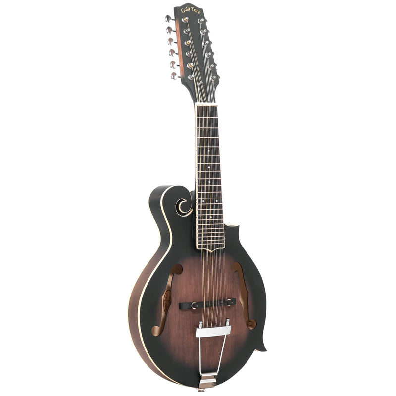 Gold Tone F-12 F Style Mando Guitar | 12 String