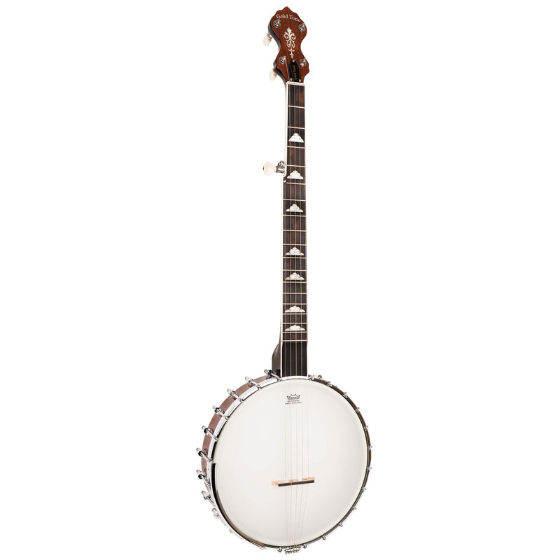 Gold Tone Mastertone W-250 White Ladye Banjo | Vintage Brown