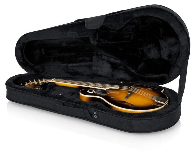 Gator Mandolin Lightweight Case