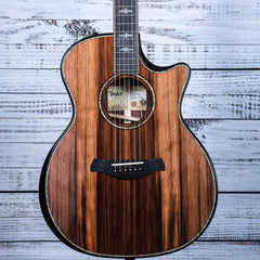 Taylor Builder's Edition 914ce Honduran Edition Acoustic | Gloss