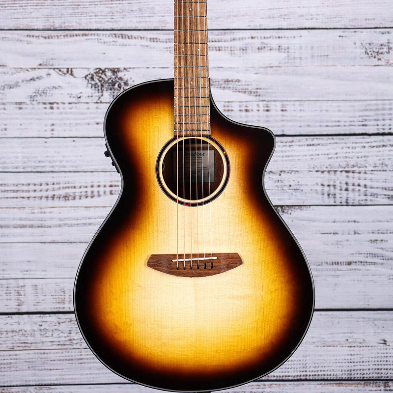 Breedlove Discovery S Concert CE Acoustic Guitar | Edgeburst