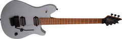 EVH Wolfgang WG Standard, Quicksilver