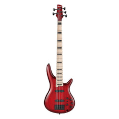 Ibanez ANB205 Adam Nitti 5-String Bass Guitar Default Title