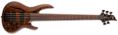 ESP LTD B-1005 Bass Guitar | Natural Satin