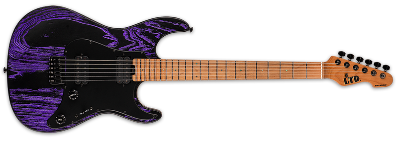 ESP LTD SN-1000HT Electric Guitar | Purple Blast