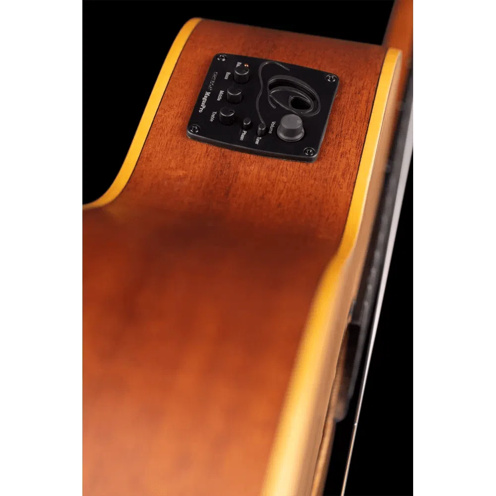 Ortega Family Series Pro Cedar Top Classical Guitar | RCE131SN
