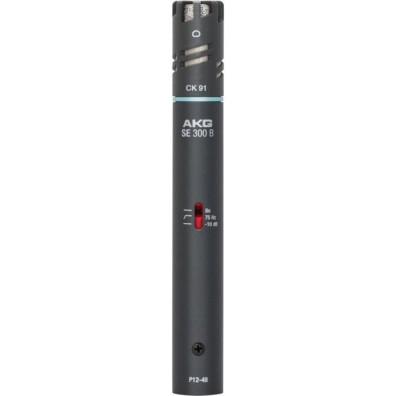 AKG C391 Small-Diaphragm Condenser Microphone