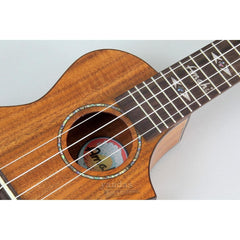 Amahi C-04 Exotic Wood Concert Ukulele Solid Koa