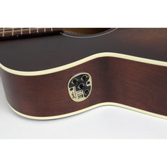 Art & Lutherie Legacy CW 12-String | Bourbon Burst