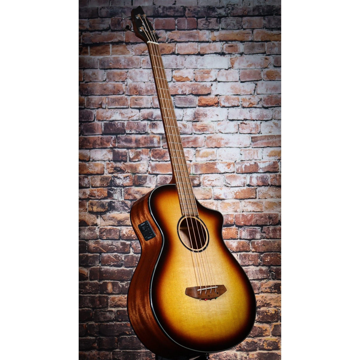 Breedlove Discovery S Concert Edgeburst Bass CE