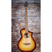 Breedlove Discovery S Concert Edgeburst Bass CE