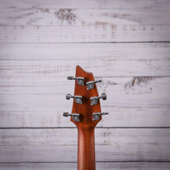 Breedlove DSCN44CESSAM Discovery S Concert Edgeburst CE