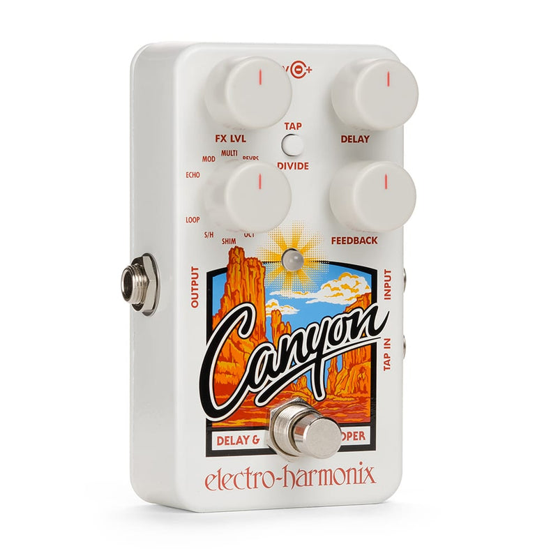Electro Harmonix Canyon Delay & Looper Effect Pedal