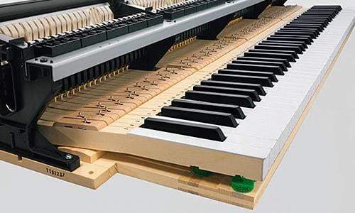 Celviano sales grand hybrid