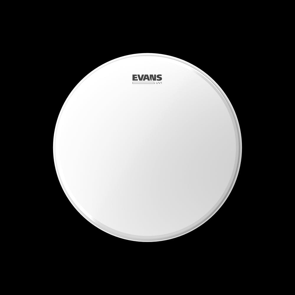 D'Addario Evans UV1 Coated Drum Head, 16 Inch |  B16UV1