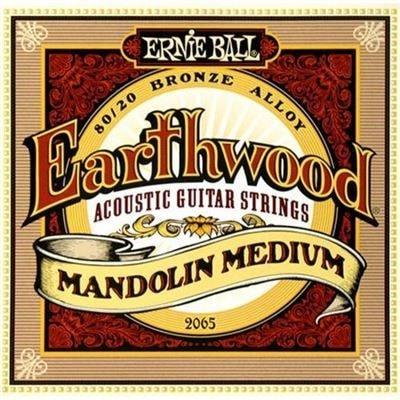 Ernie Ball Earthwood Medium Mandolin Strings | 80/20 Bronze | 2065