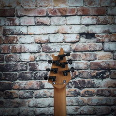 EVH Wolfgang WG Standard Baked Maple and Silver Sparkle