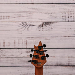EVH Wolfgang WG Standard | Stryker Red