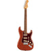 Fender Player Plus Stratocaster | Aged Candy Apple Red/Pau Ferro FB