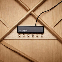 Fishman PowerTap Earth Body Sensor with Soundhole Pickup