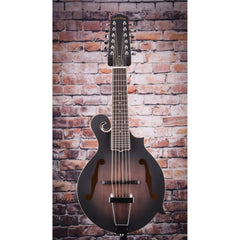Gold Tone 12-String Mando/Guitar | Includes Case