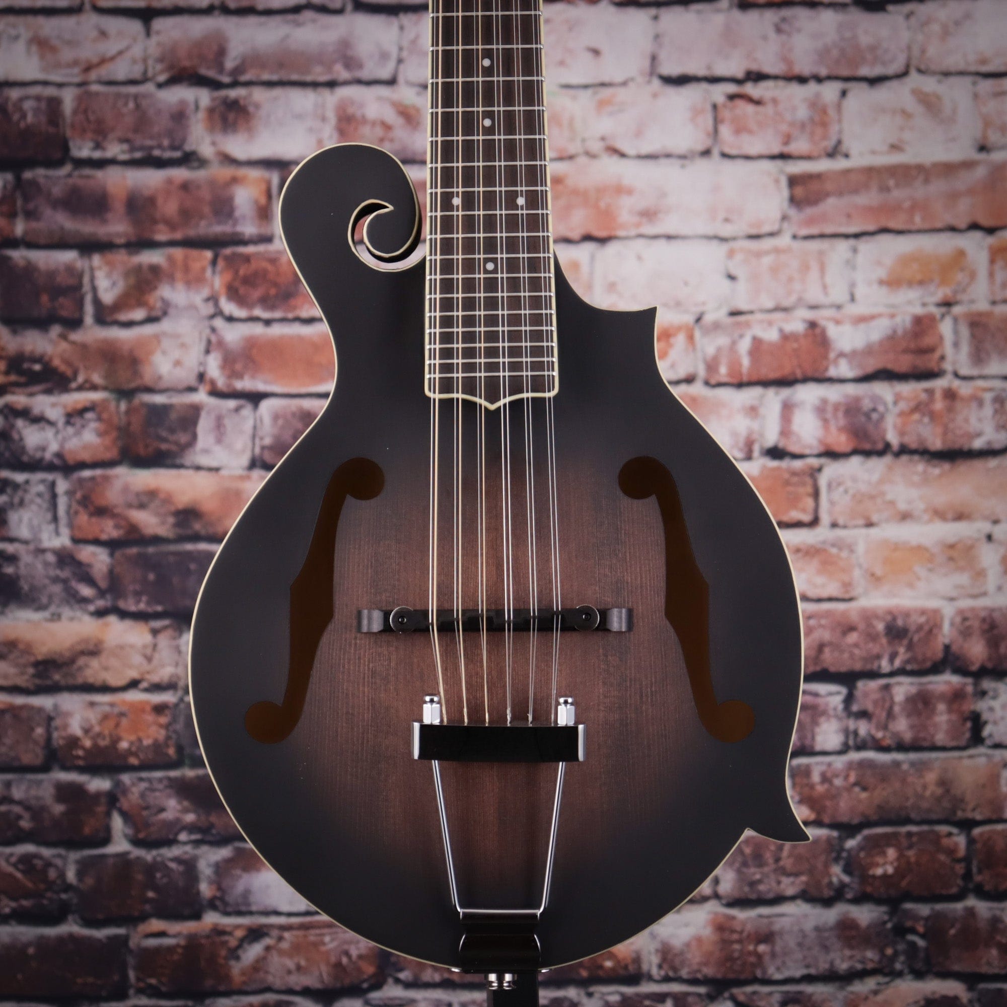 Mando guitar outlet 12 string