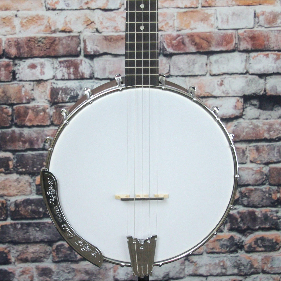 Gold Tone CC-50 5 String Open-Back Banjo