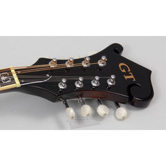 Gold Tone GM-35 F-Style Mandolin