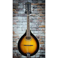Gold Tone GM-50+ A-Style Mandolin With Pickup