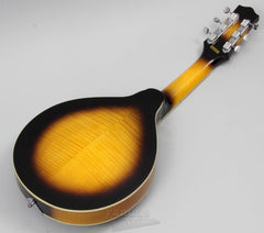 Gold Tone GM-6 Mando-Guitar