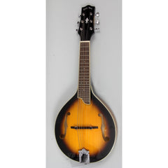 Gold Tone GM-6 Mando-Guitar
