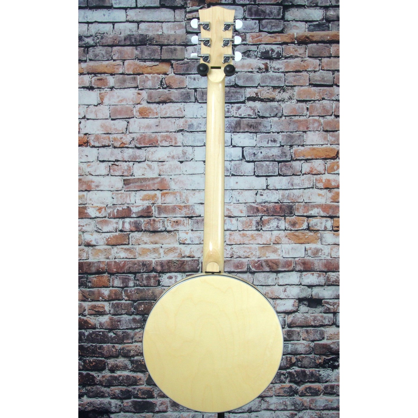 Gold Tone GT-500 Professional 6-String Banjitar Right Handed