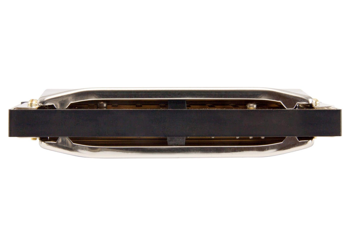 Hohner Special 20 Harmonica | Key Of D