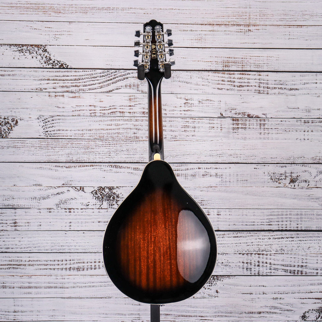Ibanez A-Style Acoustic-Electric Mandolin | Dark Violin Finish | M510EDVS