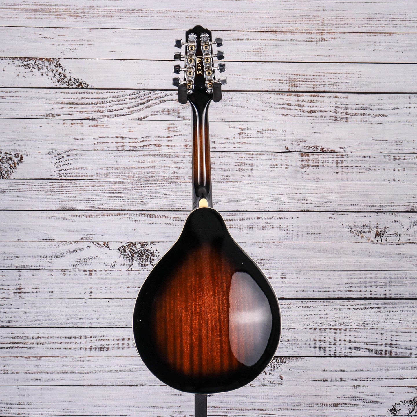 Ibanez A-Style Acoustic-Electric Mandolin | Dark Violin Finish | M510EDVS