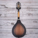 Ibanez A-Style Acoustic-Electric Mandolin | Open Pore Finish | M510EOVS