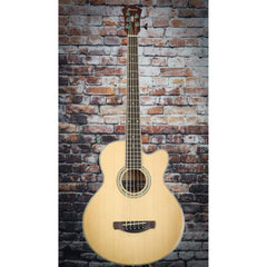 Ibanez AEB105ENT Acoustic Bass Guitar