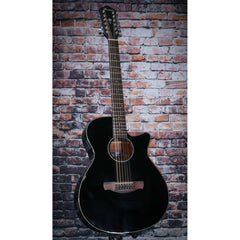 Ibanez AEG 12 String Acoustic Electric Guitar, Black | AEG5012BK