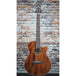 Ibanez AEG220 Acoustic Electric Guitar