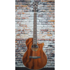 Ibanez AEG220 Acoustic Electric Guitar