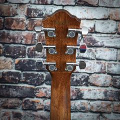 Ibanez AEG220 Acoustic Electric Guitar