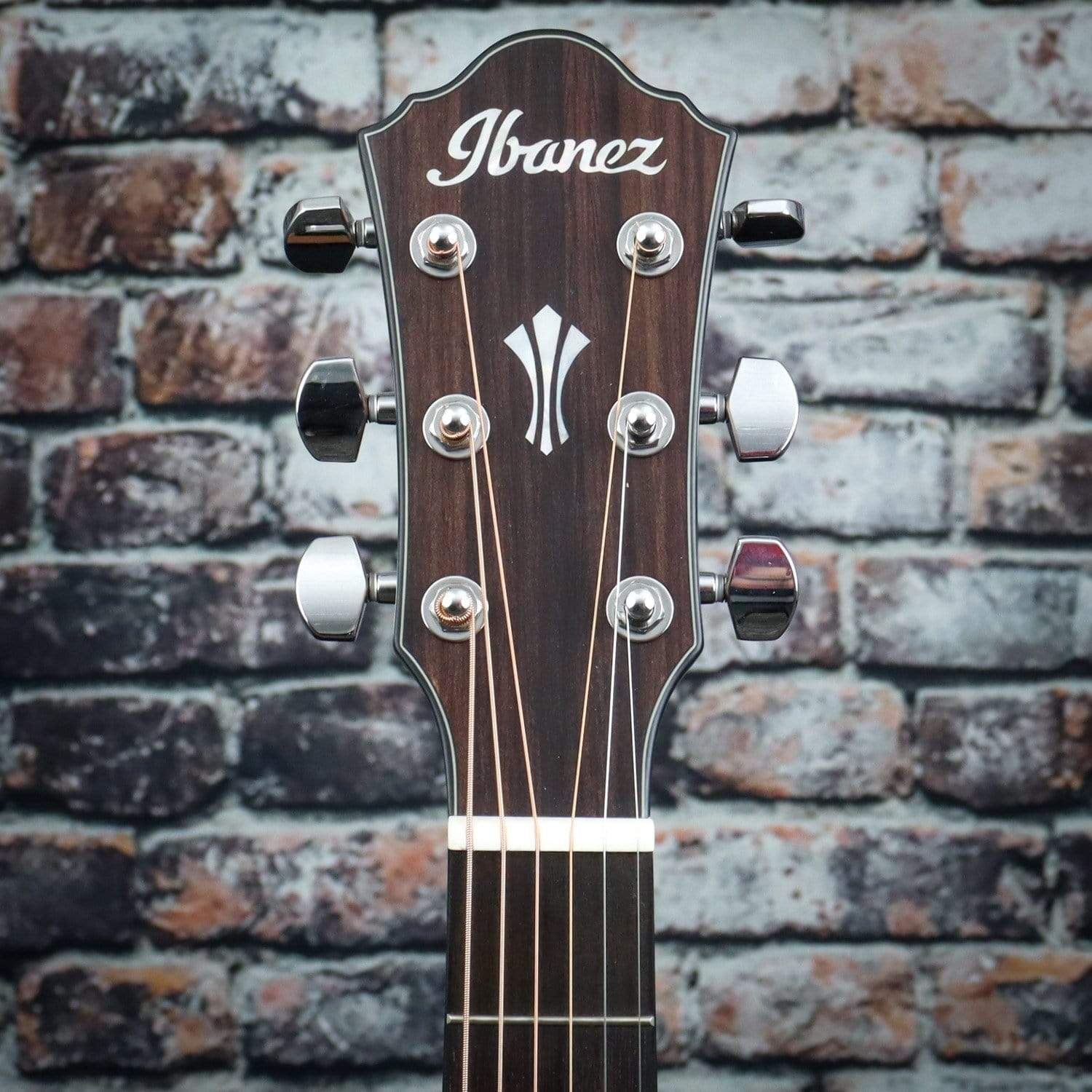 Ibanez AEG220 Acoustic Electric Guitar