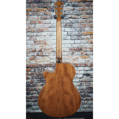 Ibanez AEG220 Acoustic Electric Guitar