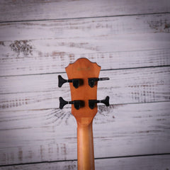Ibanez AEGB24E Acoustic Electric Bass, All Sapele Body, Black
